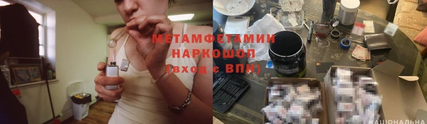 спиды Вяземский